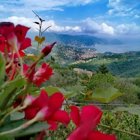 Portofino Italy Dolce Italy - Liguria